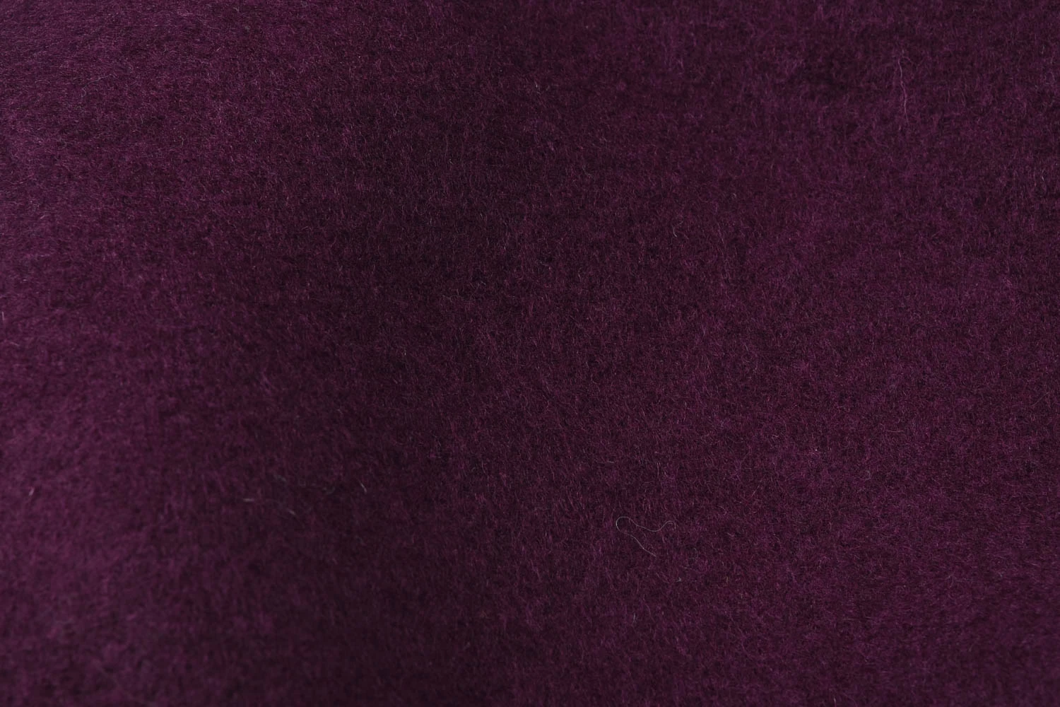 H.W. DOG & CO. BERET - WINE - Image 5